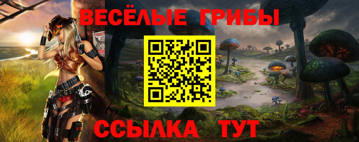 Галлюциногенные грибы Magic Shrooms Унеча